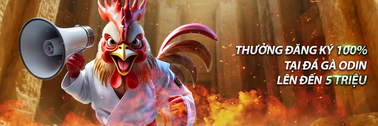 Banner Câu Hỏi Thường Gặp AEV99 Trang Chủ